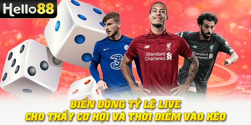 Biến động tỷ lệ live cho thấy cơ hội và thời điểm vào kèo