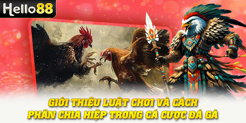 Giới thiệu luật chơi và cách phân chia hiệp trong cá cược đá gà