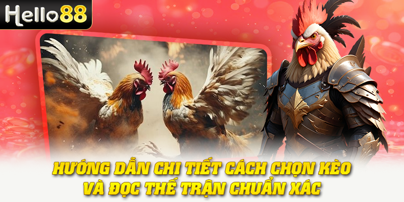 Hướng dẫn chi tiết cách chọn kèo và đọc thế trận chuẩn xác