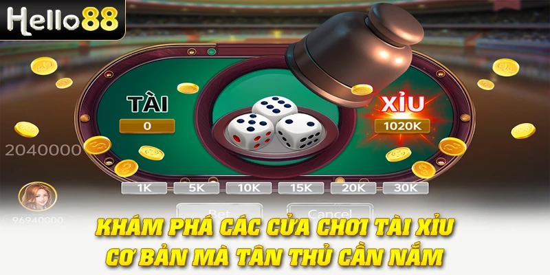 Khám phá các cửa chơi Tài Xỉu cơ bản mà tân thủ cần nắm