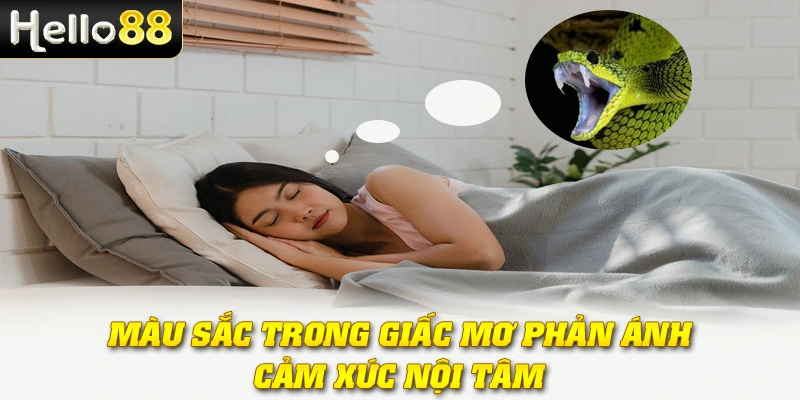 Mơ Thấy Rắn - Hello88 Tiết Lộ Điều Bất Ngờ Về Tài Lộc 3 Màu sắc trong giấc mơ phản ánh cảm xúc nội tâm