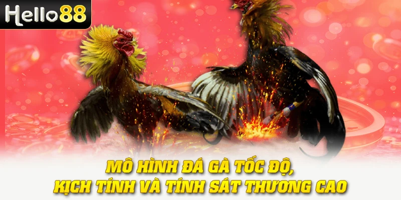 Mô hình đá gà tốc độ, kịch tính và tính sát thương cao