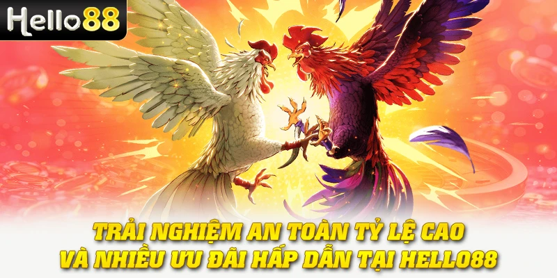 Gà Chấp Tiền - Khám Phá Hình Thức Cược Công Bằng Và Hấp Dẫn 4 Trải nghiệm an toàn, tỷ lệ cao và nhiều ưu đãi hấp dẫn tại Hello88