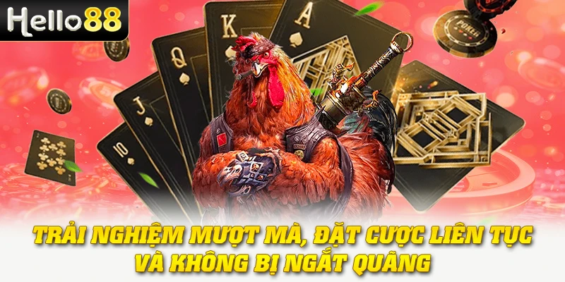 Trải nghiệm mượt mà, đặt cược liên tục và không bị ngắt quãng