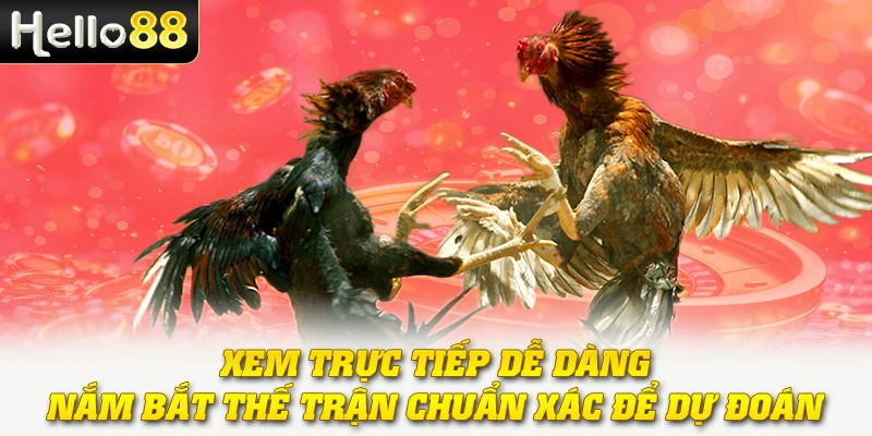 Xem trực tiếp dễ dàng, nắm bắt thế trận chuẩn xác để dự đoán